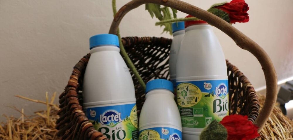 Le lait un allié santé au quotidien