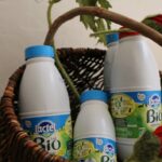 Le lait un allié santé au quotidien
