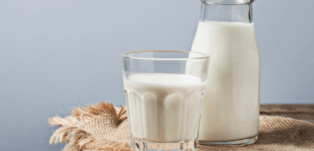 Le lait un allié santé au quotidien